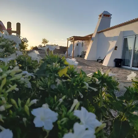 Amendoa * Alta Mora