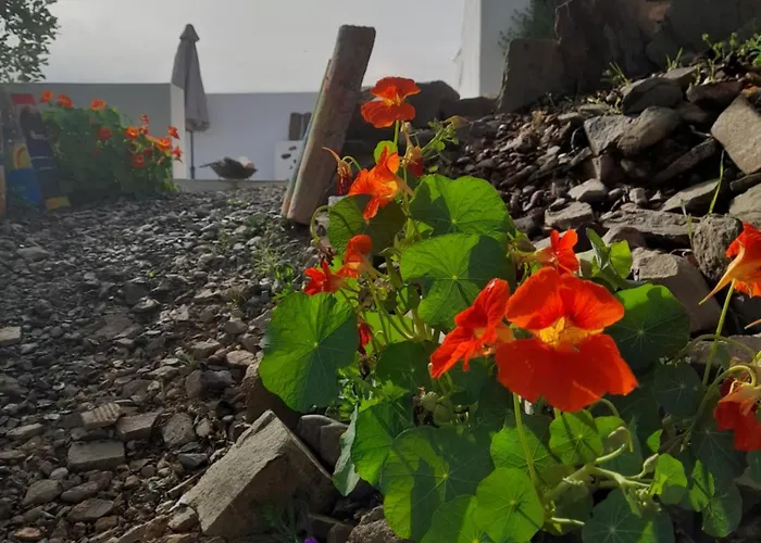 Farmház Amendoa *