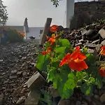 مزرعة للإقامة Amendoa *