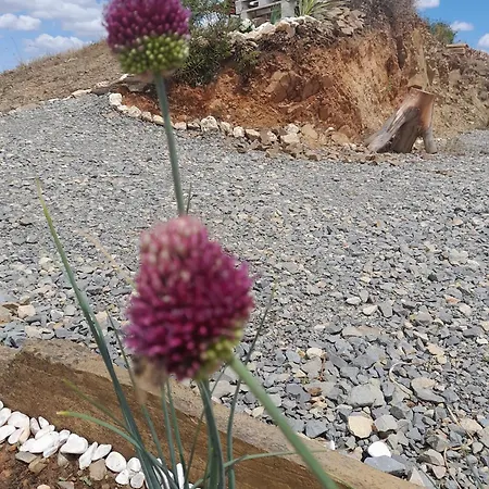 Amendoa Alloggio per agriturismo *