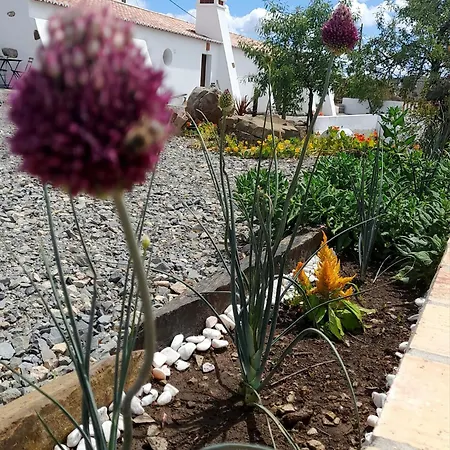 Alloggio per agriturismo Amendoa Alta Mora