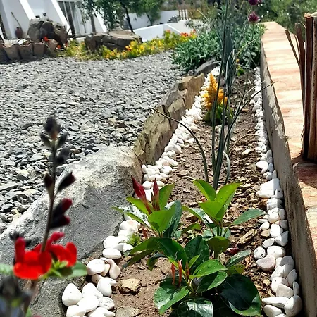 Farm stay Amendoa Alta Mora