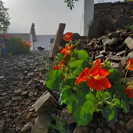 Alojamento de Turismo Rural Amêndoa *