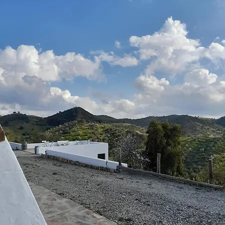 Amendoa Alta Mora