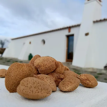 Amêndoa Alojamento de Turismo Rural