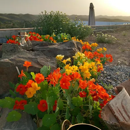 Amendoa Farm stay *