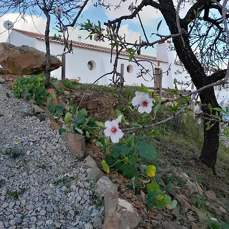 Amendoa * Alta Mora