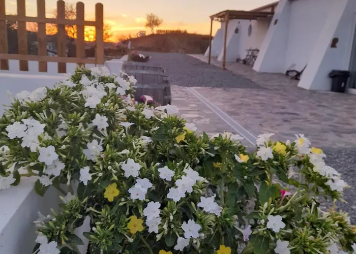 Amendoa Vakantieboerderij Alta Mora