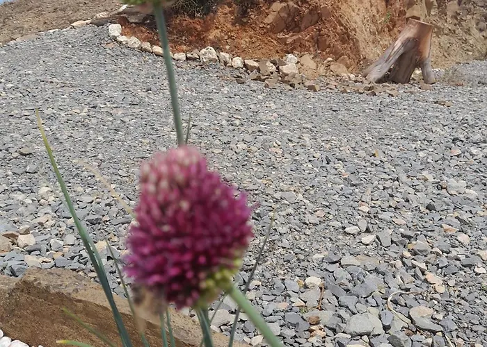 Amendoa Vakantieboerderij *