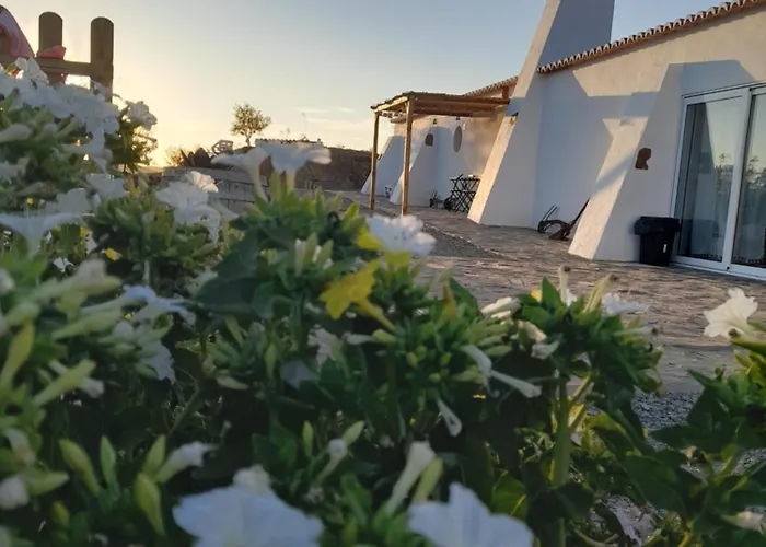 Amendoa * Alta Mora