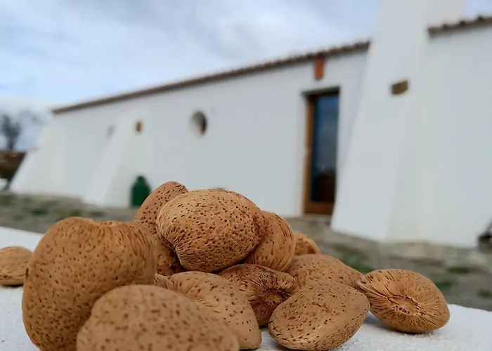Amendoa Alloggio per agriturismo